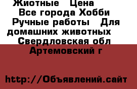 Жиотные › Цена ­ 50 - Все города Хобби. Ручные работы » Для домашних животных   . Свердловская обл.,Артемовский г.